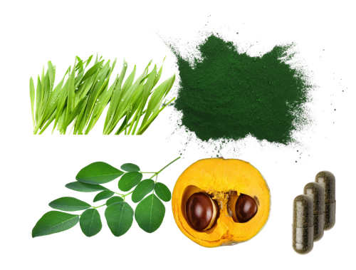 Produktfoto Haut und Haare mit den Pflanzen Lucuma, den Blättern von Moringa, Gerstengras und Spirulina neben der veganen Kapsel mit dem Pflanzenpulver.